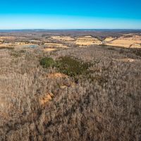 St. Francois Deer and Recreation tract 1 images 2