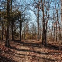 St. Francois Deer and Recreation tract 1 images 4
