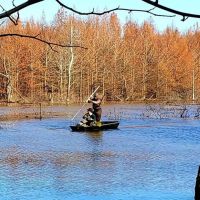 250 AG LAND TN RIVER BOTTOM. NATURAL SLOUGH DUCK DEER AND TURKEY images 3