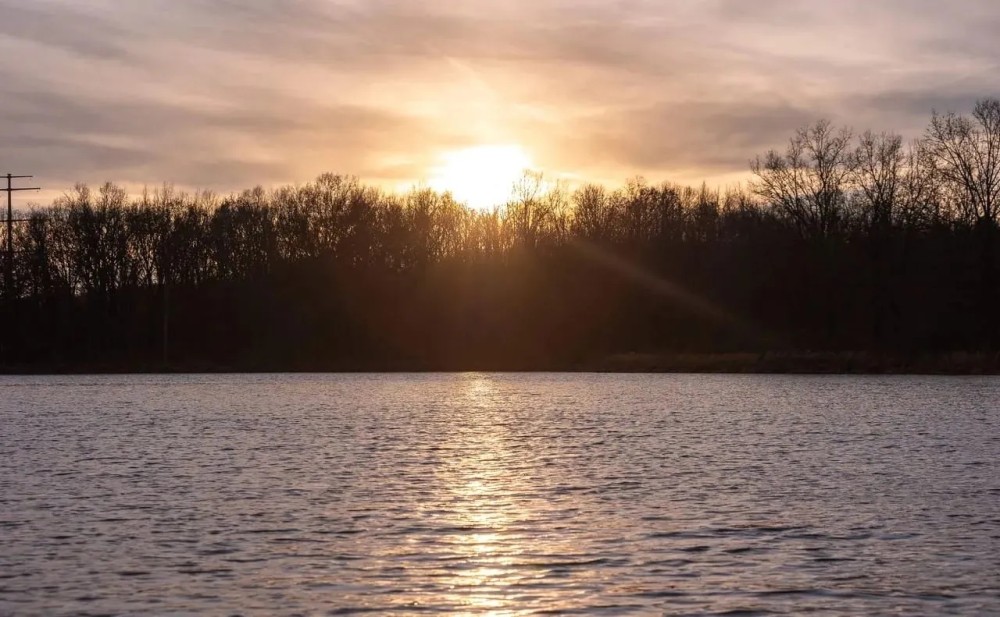 Southern Illinois Sanctuary Tract 1 featured image