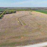 80 Acres Timber Grass Pasture Cropland Hunting More images 1