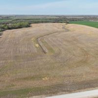 80 Acres Timber Grass Pasture Cropland Hunting More images 3
