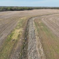 80 Acres Timber Grass Pasture Cropland Hunting More images 5