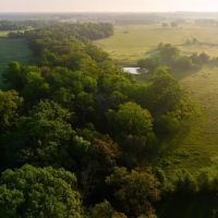465 Acres Donie Texas Premier Recreational Cattle Ranch with Custom Log Home images 3