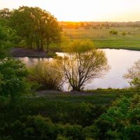 465 Acres Donie Texas Premier Recreational Cattle Ranch with Custom Log Home images 4