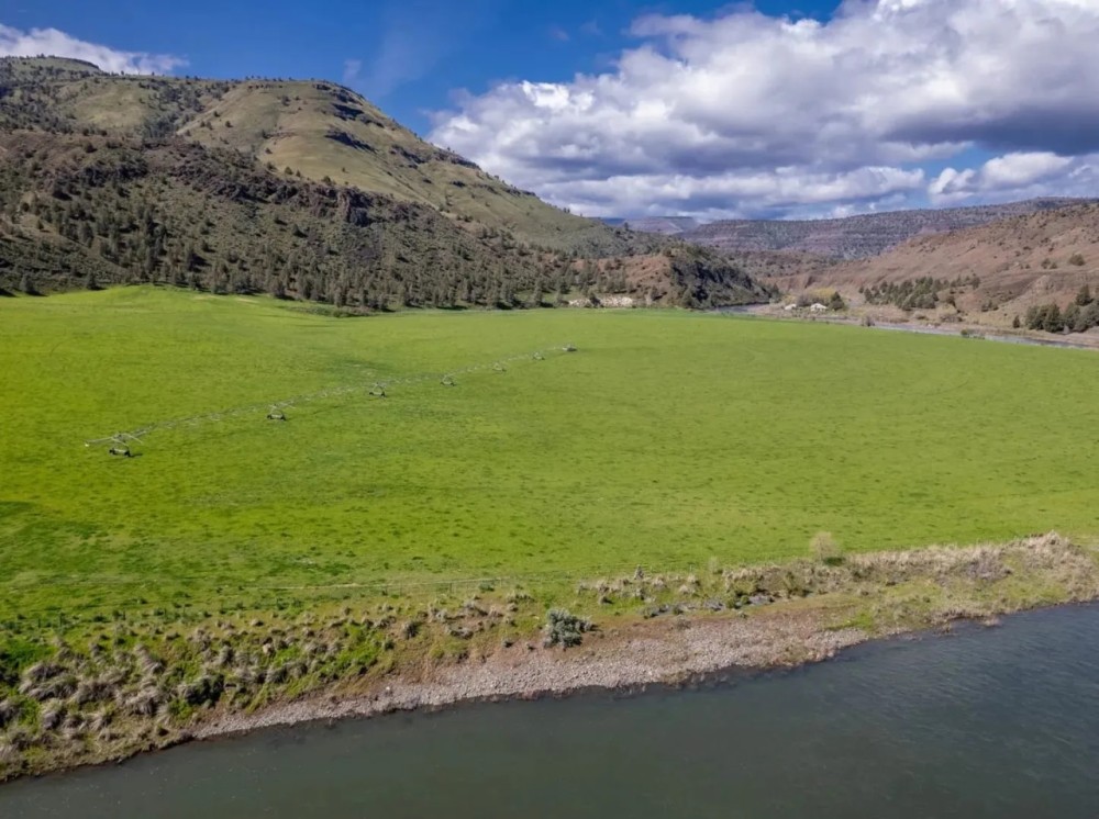 Campbell Crossing Ranch featured image