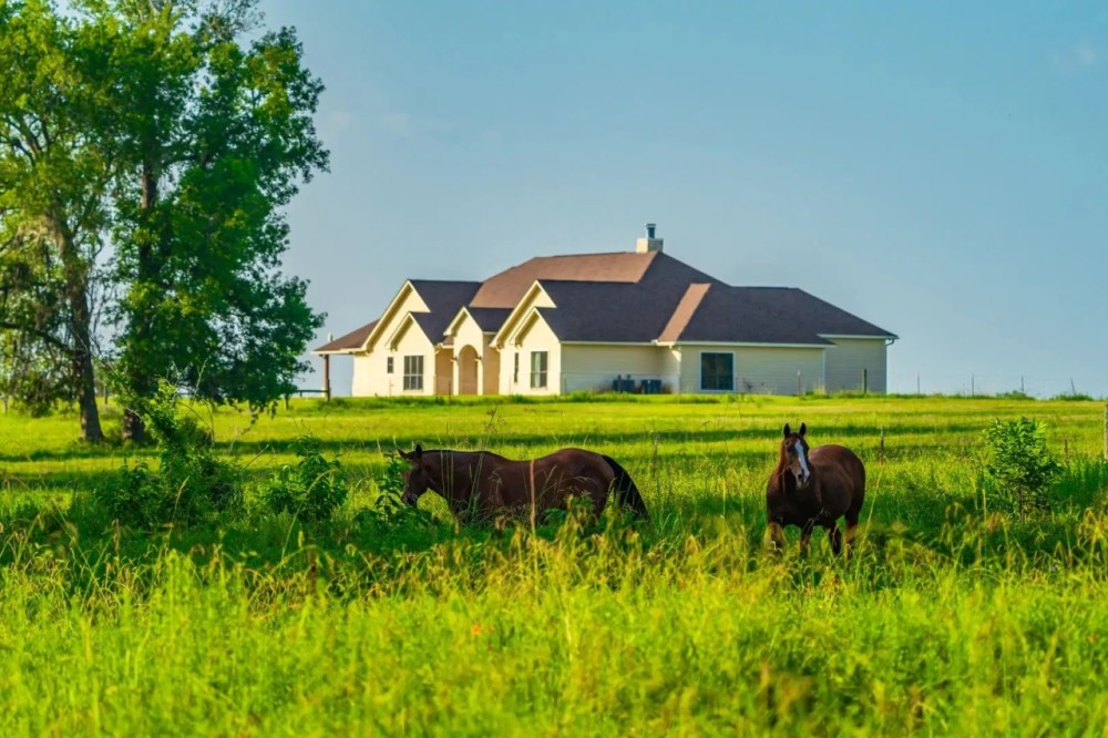 Dolen Ranch featured image