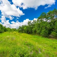 Berclair Ranch images 2