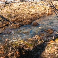 St. Francois Deer and Recreation tract 3 images 2