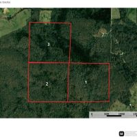 St. Francois Deer and Recreation tract 3 images 3