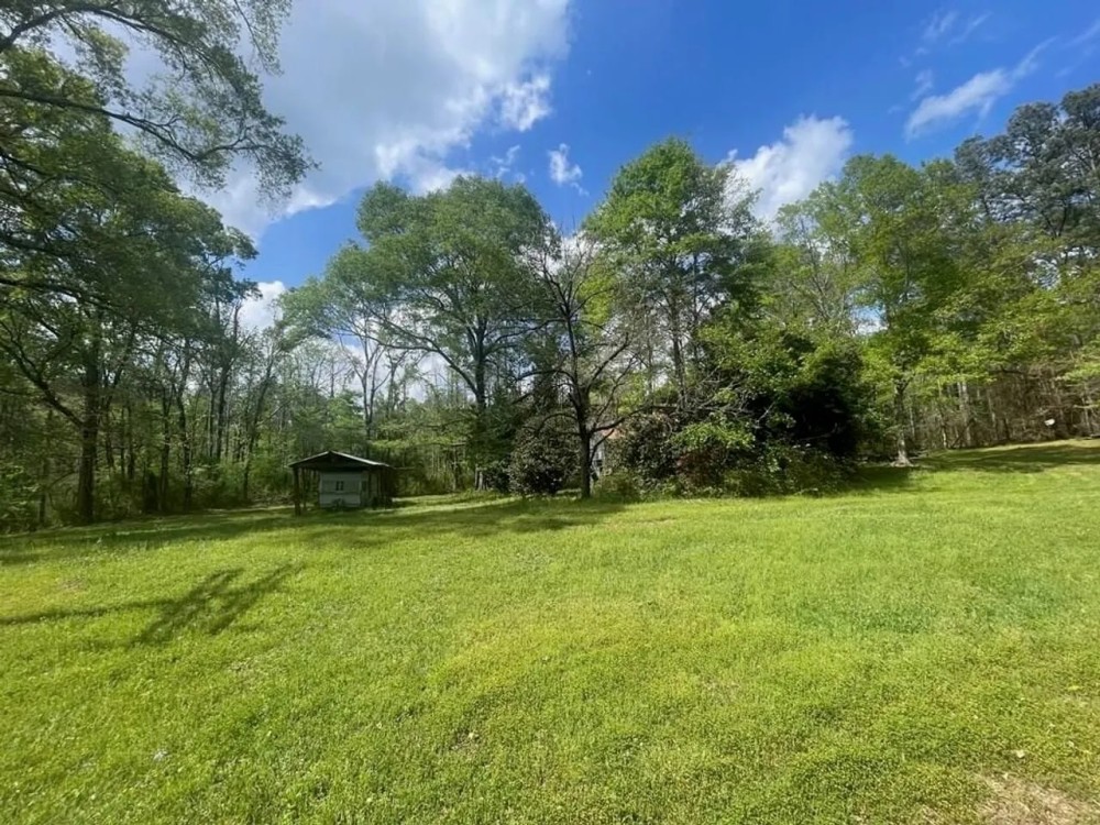 Amite County 38.6 Acres For Sale featured image