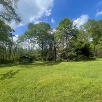 Amite County 38.6 Acres For Sale images 1