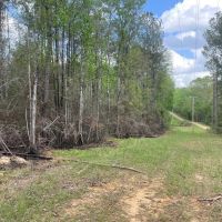 Amite County 38.6 Acres For Sale images 2