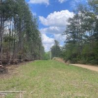 Amite County 38.6 Acres For Sale images 3