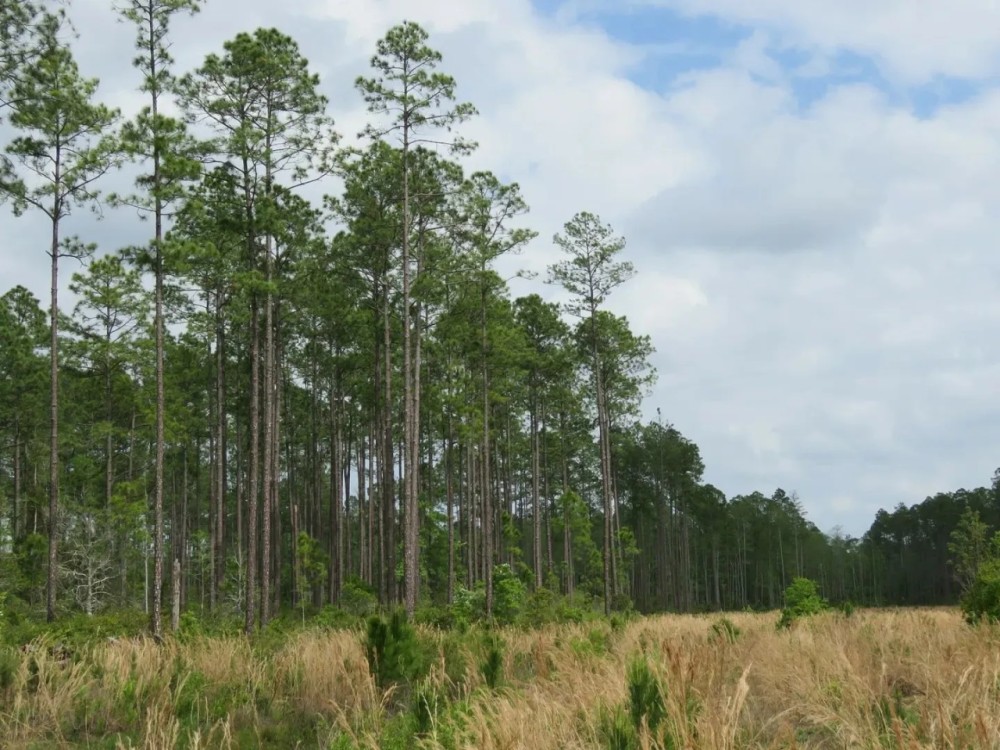 Mill Owners Tract featured image