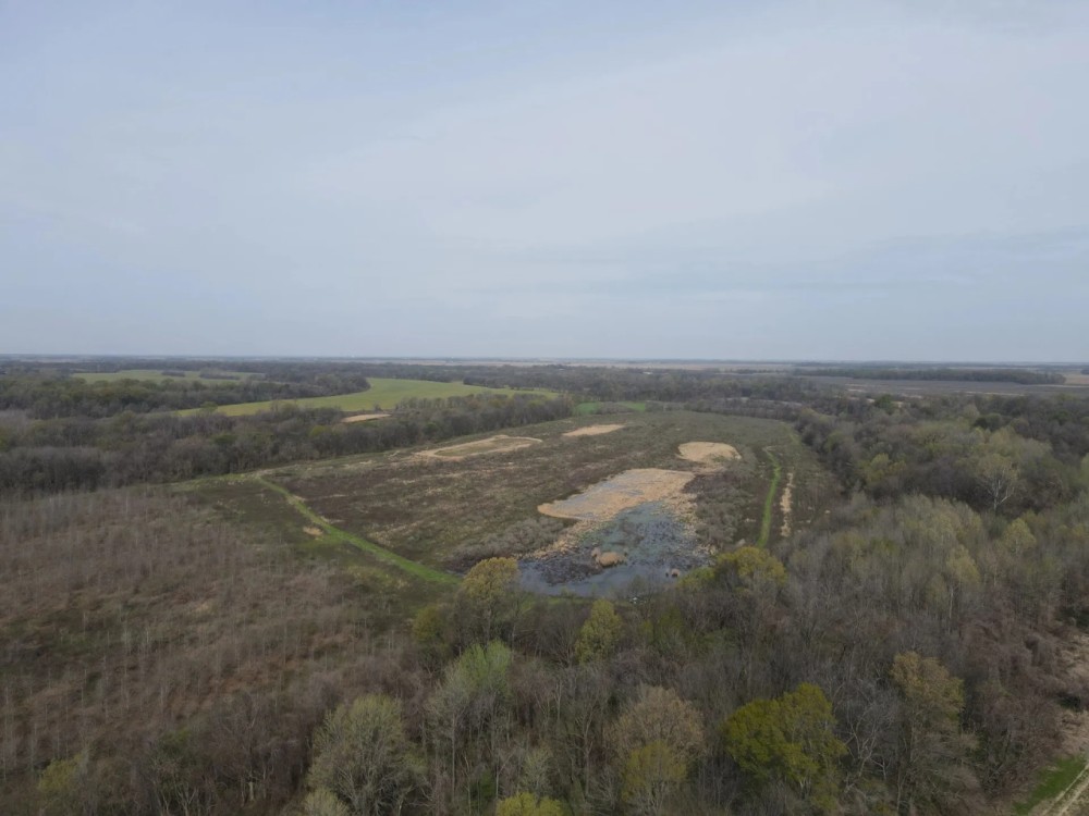 870 Acres in Sunflower County MS featured image