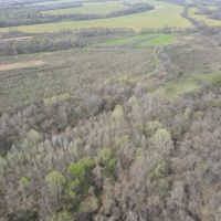 870 Acres in Sunflower County MS images 4