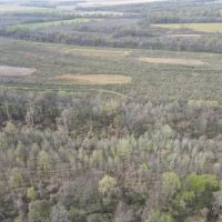 870 Acres in Sunflower County MS images 5