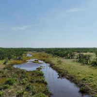 199 - Ac with 3 Cabins Mustang Creek Hunting Recreational Land