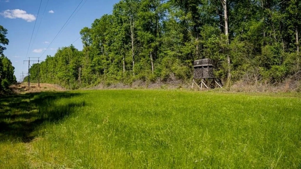 Deer and Turkey Property in Pike County MS featured image