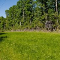 Deer and Turkey Property in Pike County MS