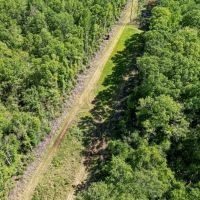 Deer and Turkey Property in Pike County MS images 2
