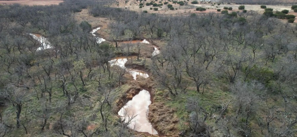 New Listing 50.82 Acres Taylor County featured image