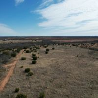 New Listing 50.82 Acres Taylor County images 4