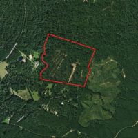 LA - Catahoula 65 acres -