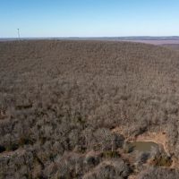 Tiger Mountain Ranch images 5