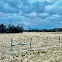 LA - Richland 39 acres -