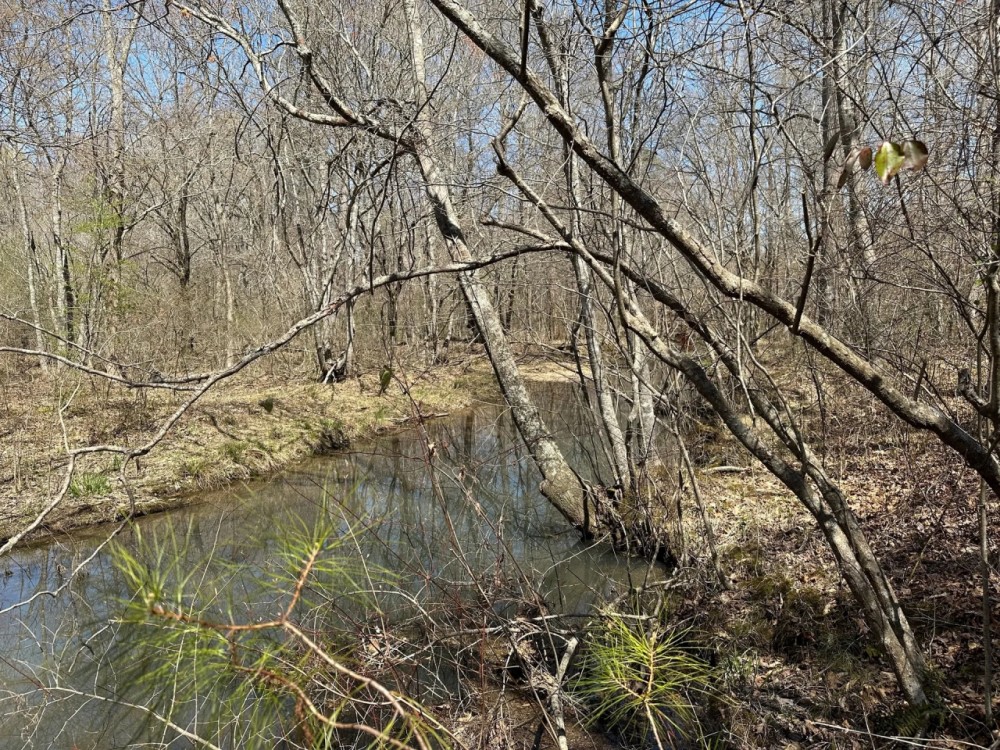 68 Acre Tranquil Retreat with Creek and Wildlife featured image
