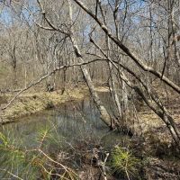 68 Acre Tranquil Retreat with Creek and Wildlife