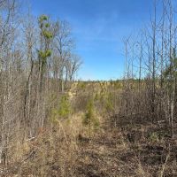 68 Acre Tranquil Retreat with Creek and Wildlife images 3