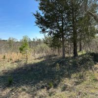 68 Acre Tranquil Retreat with Creek and Wildlife images 4