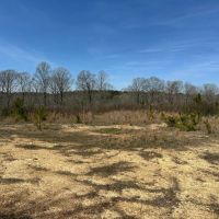 68 Acre Tranquil Retreat with Creek and Wildlife images 5