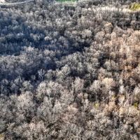 Rare Driftless Area Retreat 28 - Acres in Crawford County WI images 3