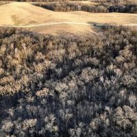 Rare Driftless Area Retreat 28 - Acres in Crawford County WI images 4