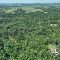 50 ac - Hunting Tract - Putnam County MO images 3