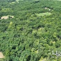 50 ac - Hunting Tract - Putnam County MO images 5