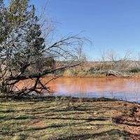 New Listing 141 Acres Taylor County