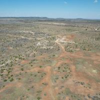 New Listing 141 Acres Taylor County images 2