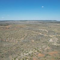 New Listing 141 Acres Taylor County images 3