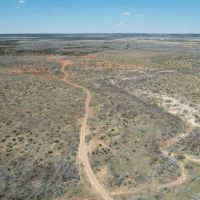New Listing 141 Acres Taylor County images 5