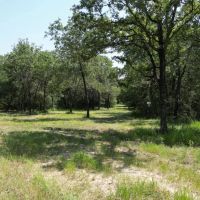 WILDWOOD RANCHES TRACT 2 images 4