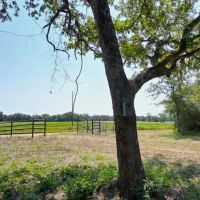 WILDWOOD RANCHES TRACT 2 images 5