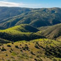 Freestar Hunting Properties