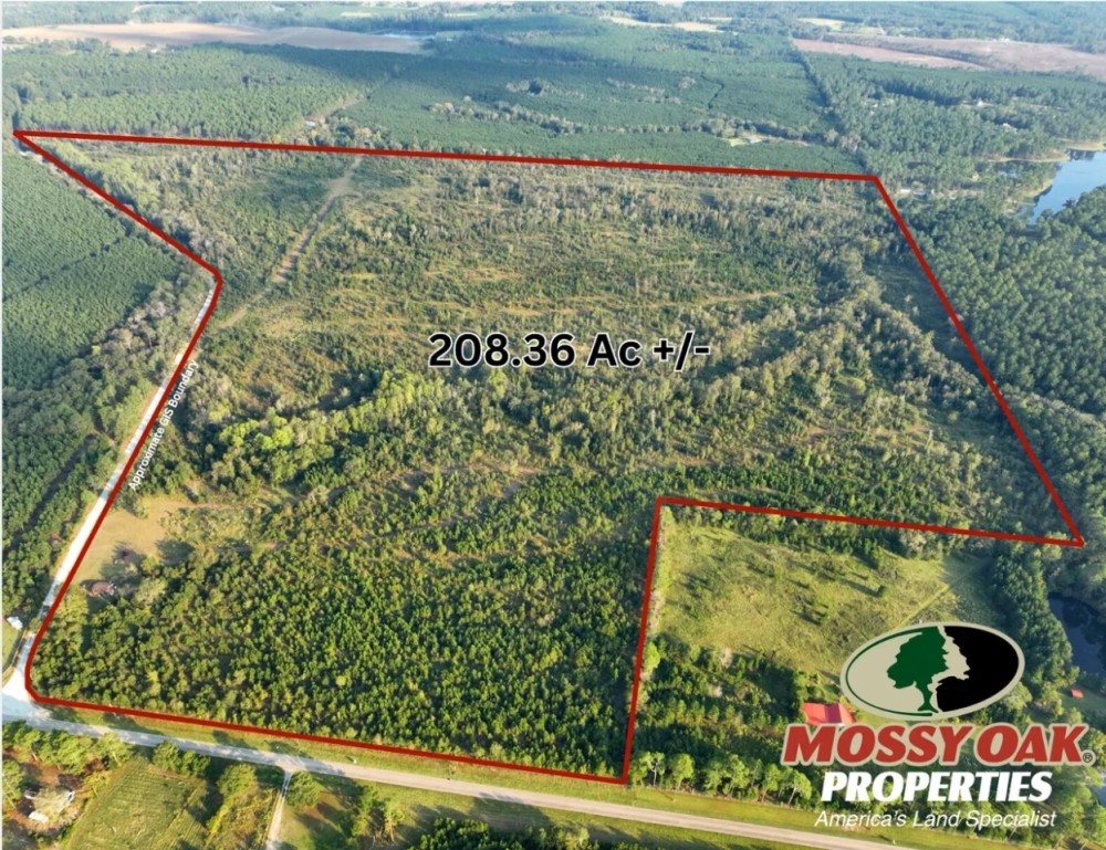 208 - Ac Orphan Cemetery Rd Tract Eastman GA featured image