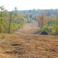 208 - Ac Orphan Cemetery Rd Tract Eastman GA images 2
