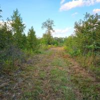 208 - Ac Orphan Cemetery Rd Tract Eastman GA images 4